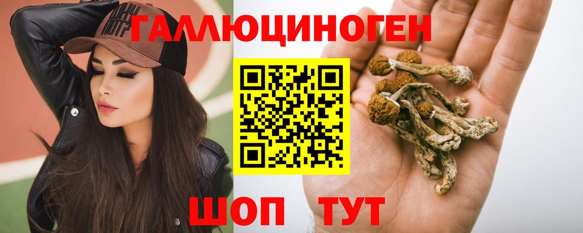 Псилоцибиновые грибы GOLDEN TEACHER Новый Уренгой